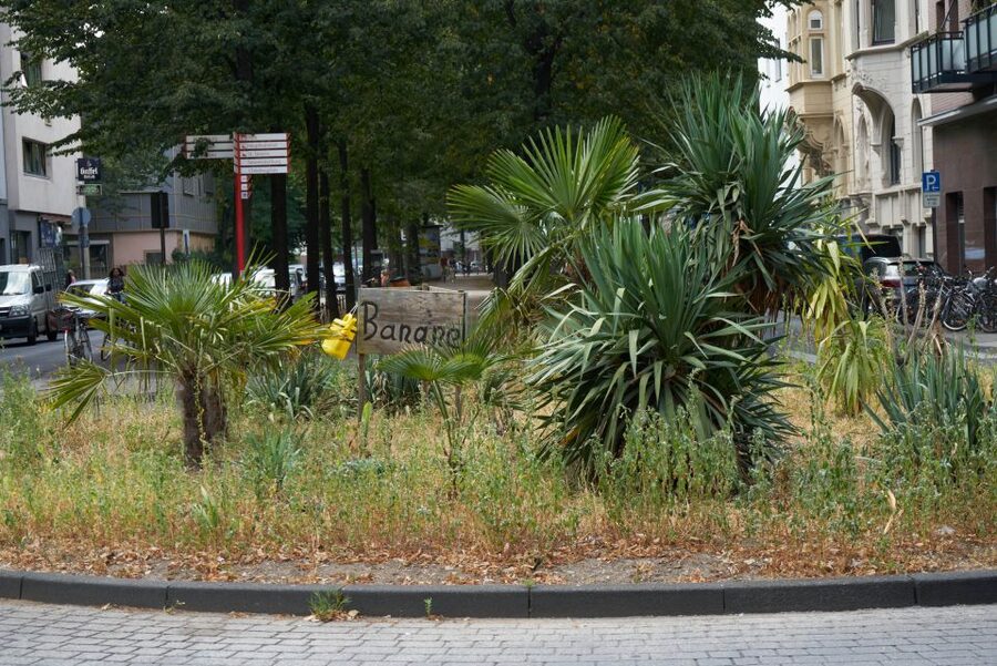 Cologne: Südstadt Guided Foodie Walking Tour - Is $589 good value for your group?