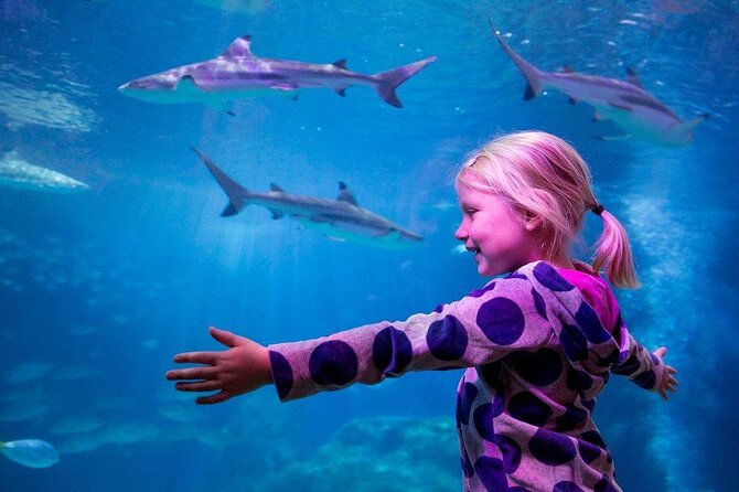 Combi Ticket: LEGOLAND Discovery Centre & SEA LIFE Oberhausen - Key points to know before you go