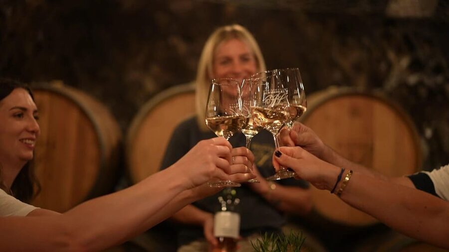 Discovery tour - cellar tour with wine tasting - Key points to know before you book