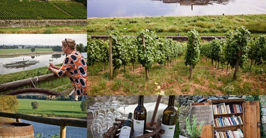 Dresden Bike Tour with Wine Tasting - Who will enjoy this Dresden outing?