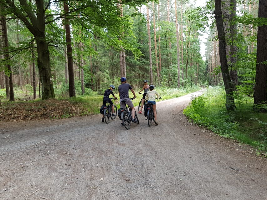 Dresden: E-Bike Tour and Dresden Heath Forest Trails - Alaunplatz and the Dresden Heath trails