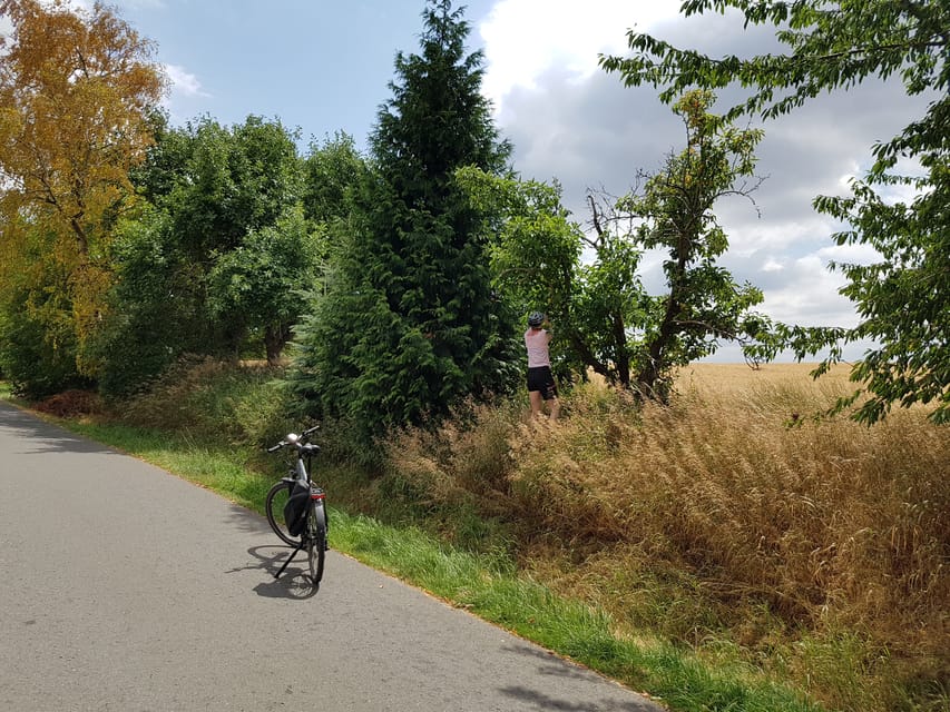 Dresden: E-Bike Tour and Dresden Heath Forest Trails - The Dresden TV tower, the route’s high point