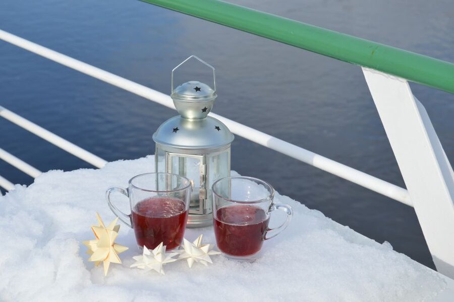 Dresden: Paddle Steamer Winter Cruise to Pillnitz - Key points to know before you board