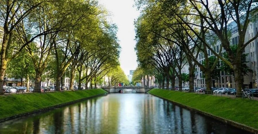 Dusseldorf : Highlights Walking tour with A Guide - Marktplatz, the town hall, and Jan Wellem