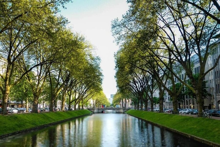 Dusseldorf : Highlights Walking tour with A Guide - What the guide service seems to do well