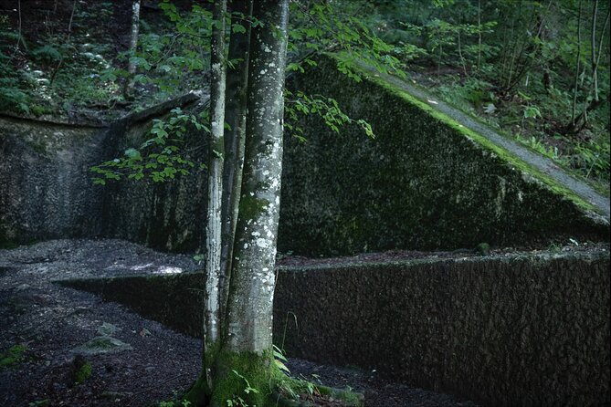 Eagle's Nest-Berchtesgaden-Obersalzberg Private Half Day WWII Historical Tour - What Happens From November Through Mid-May