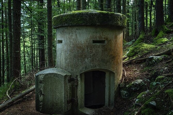 Eagle's Nest Berchtesgaden Private Full Day WWII Historical Tour - Why this tour is different from a standard Eagle’s Nest visit