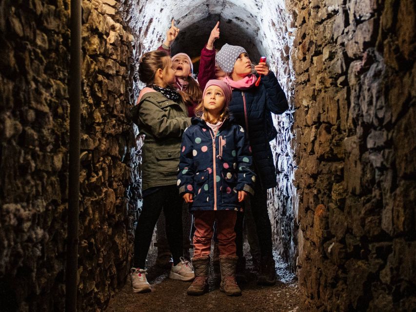 Erfurt: Guided Tour of The Petersberg Citadel - The climb back out is part of the deal