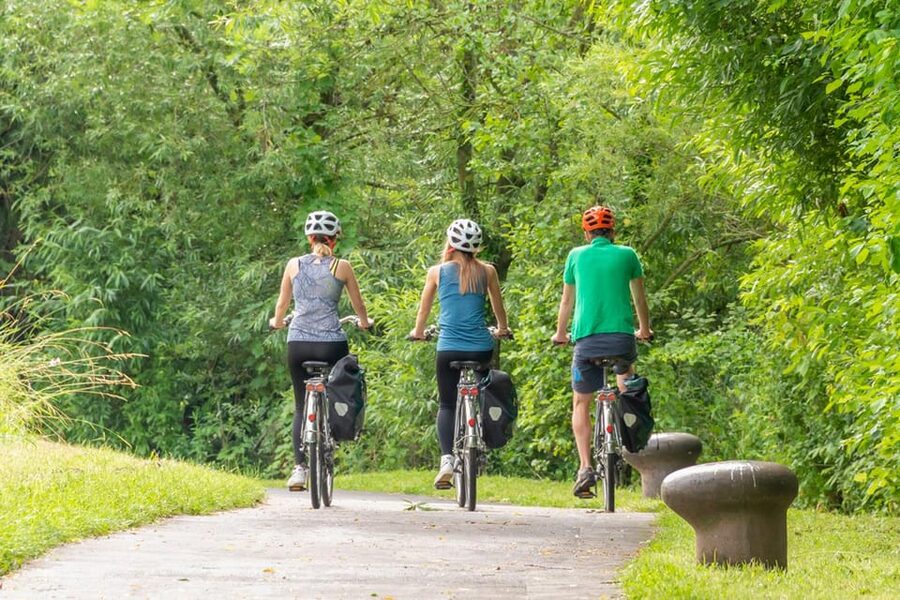 Frankfurt: Full-Day Bicycle or E-Bike Rental - Booking flexibility and small practical cautions