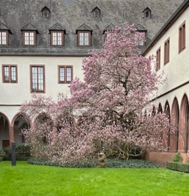Frankfurt on Foot Daily Walking Tour in English - Crossing the Main on the Eisener Steg