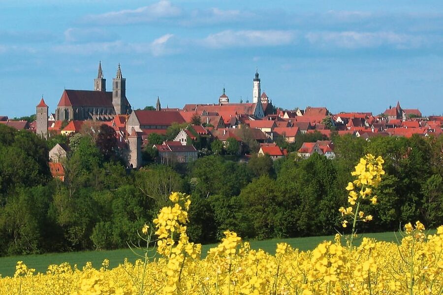 Frankfurt: Romantic Road & Rothenburg ob der Tauber Tour - Guide quality is a major part of the value