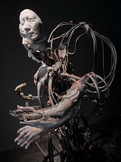 Frankfurter Kunstverein: Admission ticket - Art, Science, and Society in One Small Venue