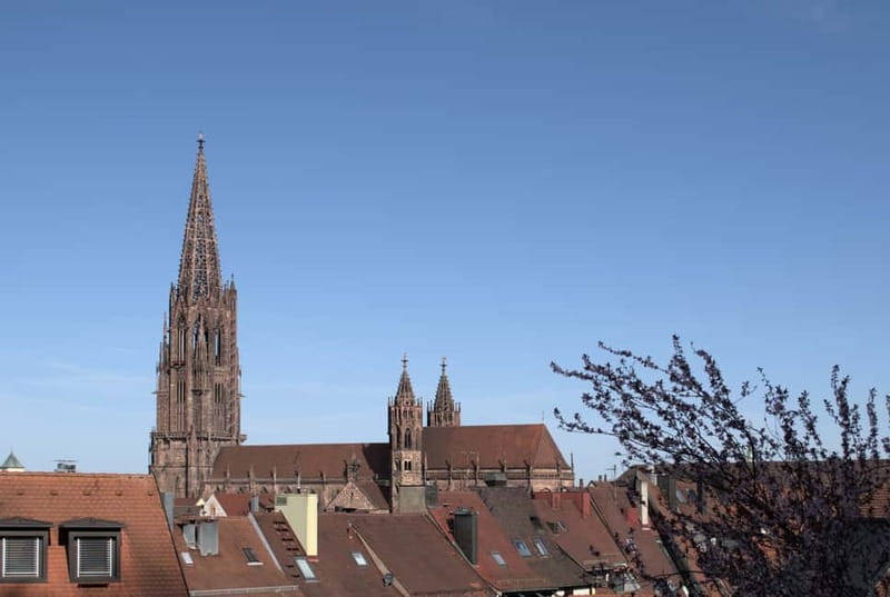 Freiburg City Tour: with visit of the Freiburg Minster - Konviktstrasse and quieter old-town corners