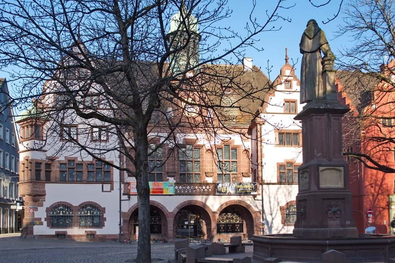 Freiburg City Tour: with visit of the Freiburg Minster - Haus zum Walfisch and Freiburg’s civic story