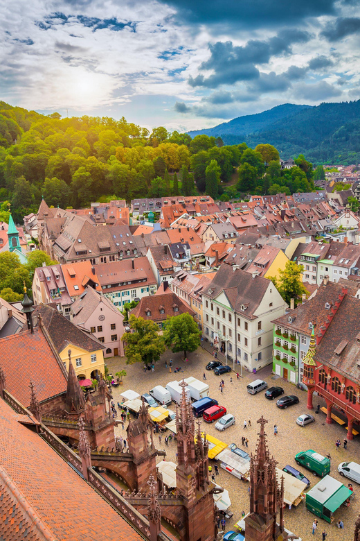 Freiburg: Exciting City Tour with sightseeing and history - Martin’s Gate and Kaiser-Joseph-Straße