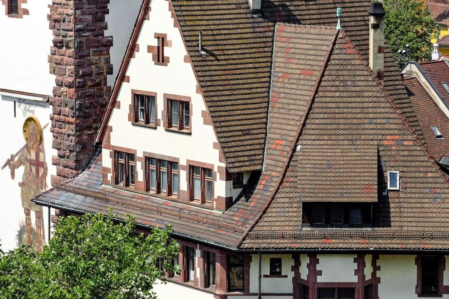 Freiburg: Express Walk with a Local in 60 minutes - Language, pace, and communication