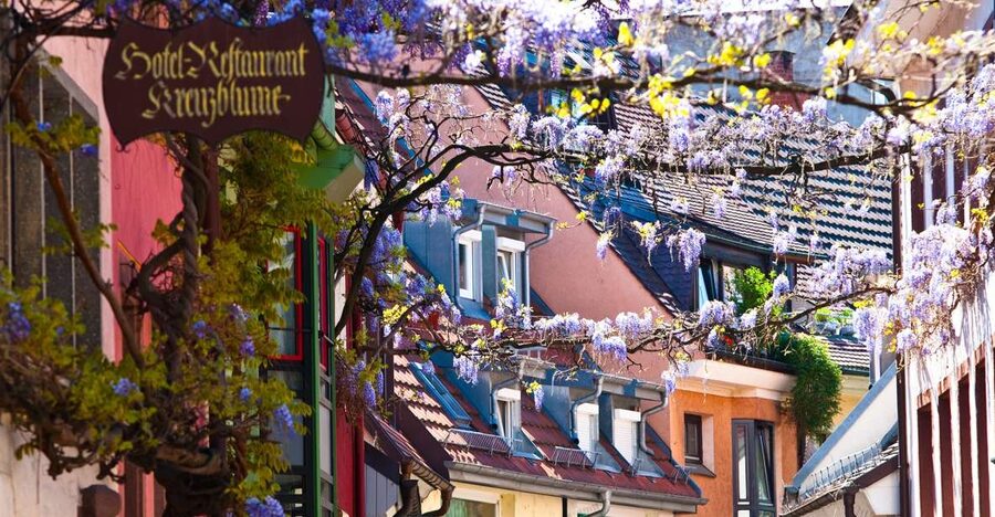 Freiburg: Gässle, Bächle and More City Tour - Key points at a glance