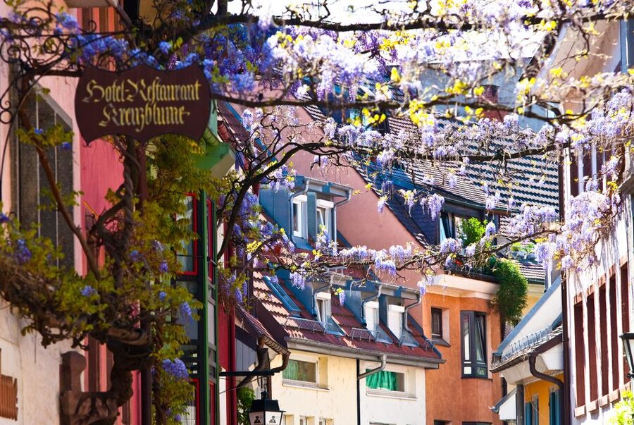 Freiburg: Gässle, Bächle and More City Tour - Why this Freiburg walk works so well