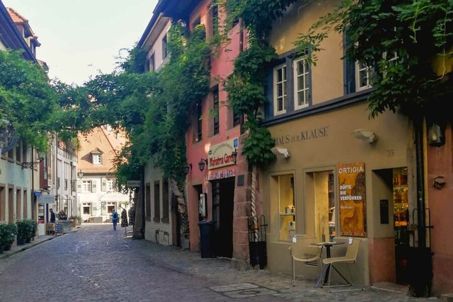 Freiburg: Gässle, Bächle and More City Tour - Konviktstraße and the charm of the Gässle