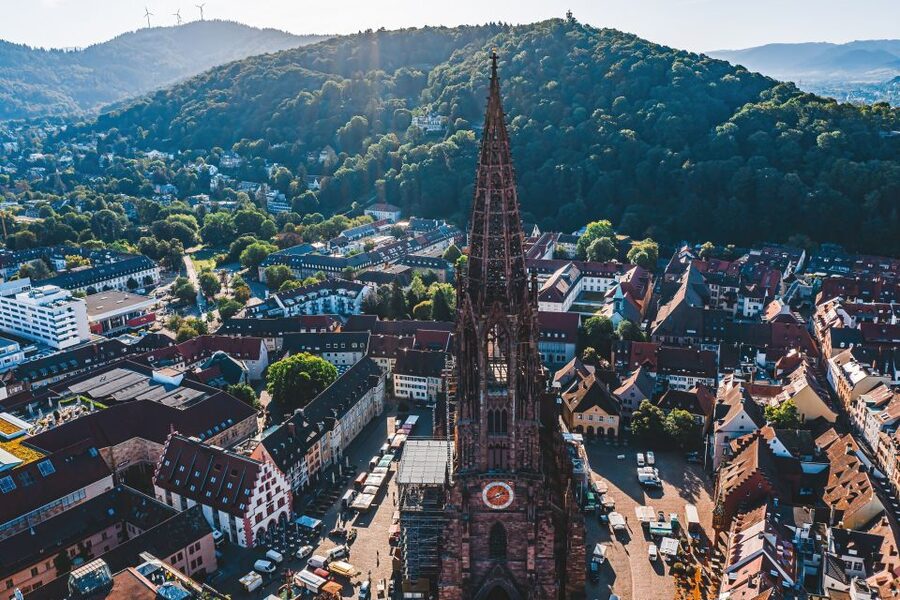 Freiburg: Veni, vidi, vino - wine hike and tasting - Key details before you book