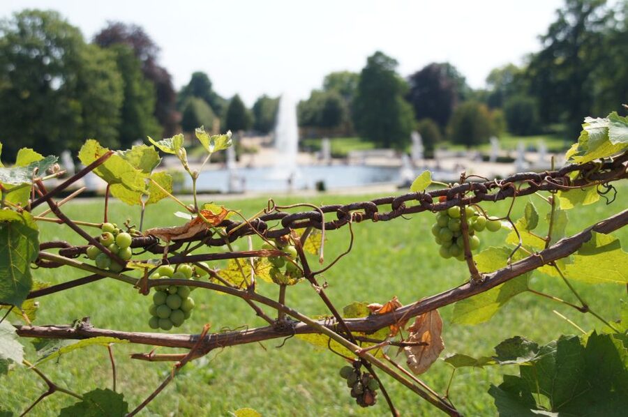 From Berlin: Potsdam Half-Day Tour in Spanish - Crossing Into Potsdam by Public Transport