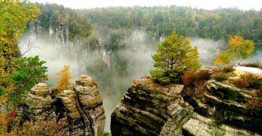 From Dresden: Bohemian & Saxon Switzerland Day Trip - Czech lunch in Bohemian Switzerland