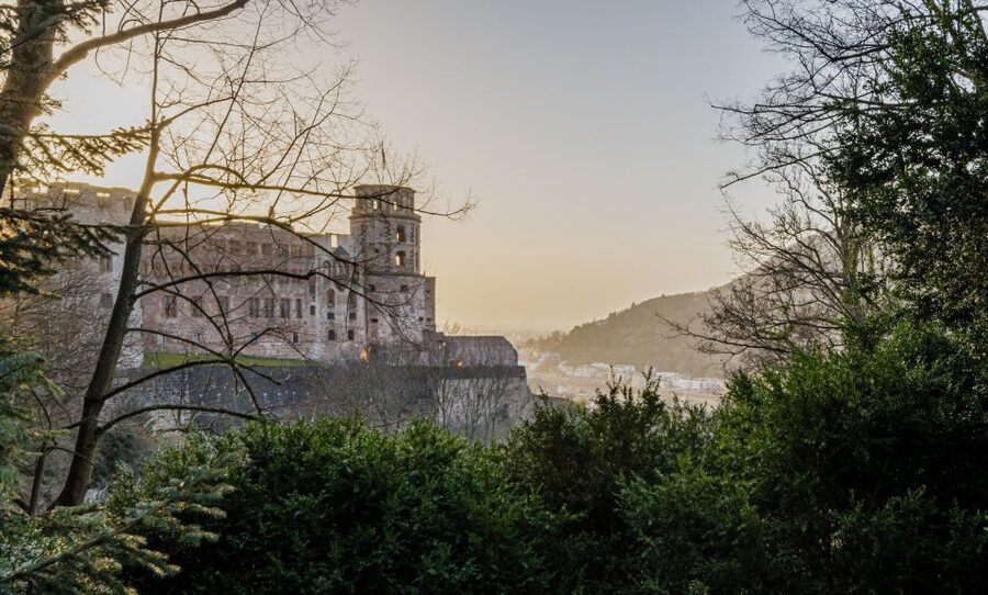 From Frankfurt: Heidelberg and Rothenburg Guided Day Trip - Rothenburg museums, souvenirs, and the Schneeball