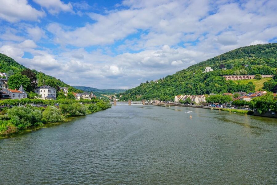 From Frankfurt: Heidelberg, Castle and Old City Guided Tour - The giant barrel and the strange fun of Heidelberg’s cellar