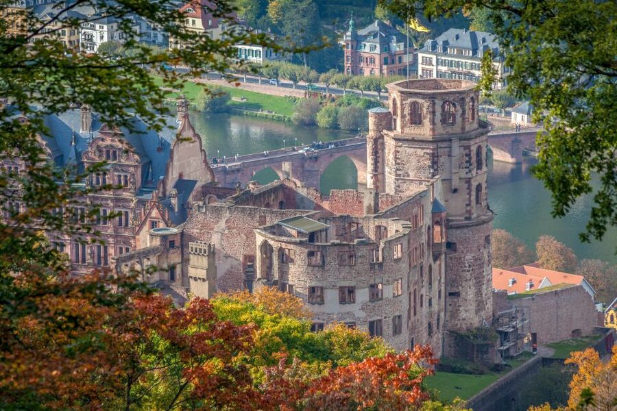 From Frankfurt: Heidelberg, Castle and Old City Guided Tour - How the guide shapes the day