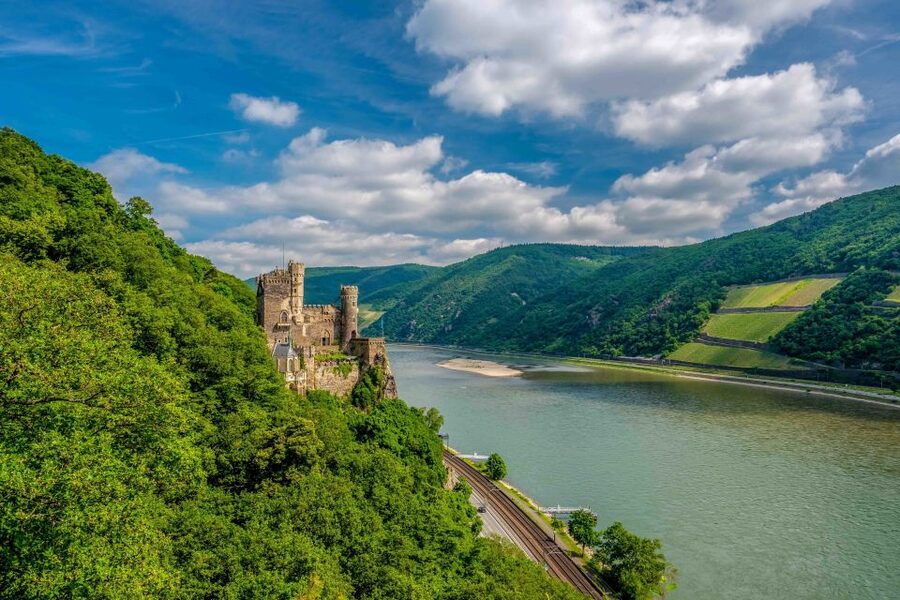 From Frankfurt: Rhine Valley Day Trip - Rüdesheim and the Niederwald Monument
