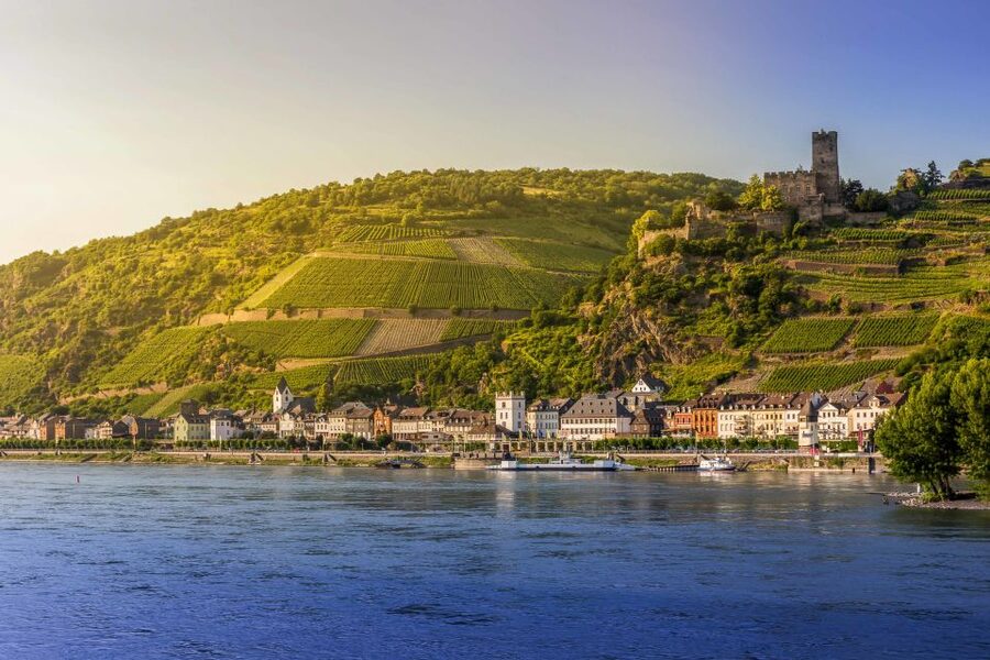From Frankfurt: Rhine Valley Day Trip - The wine lesson in Assmannshausen