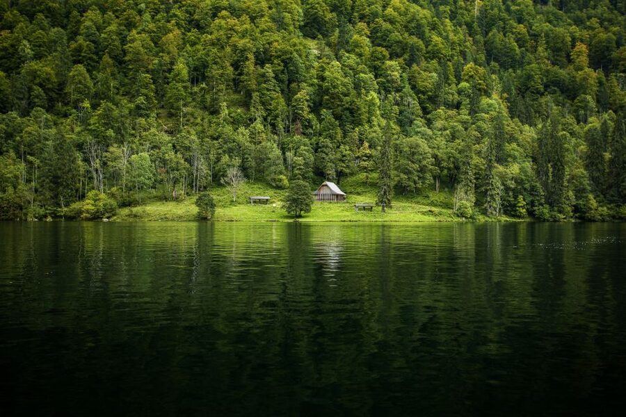 From Munich: Königsee Day Tour by Van - Guide service and the small-group feel