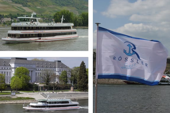 From Rüdesheim: 1.5-Hour Boat Cruise with Wine Tasting - Leaving Rüdesheim and Entering Castle Country