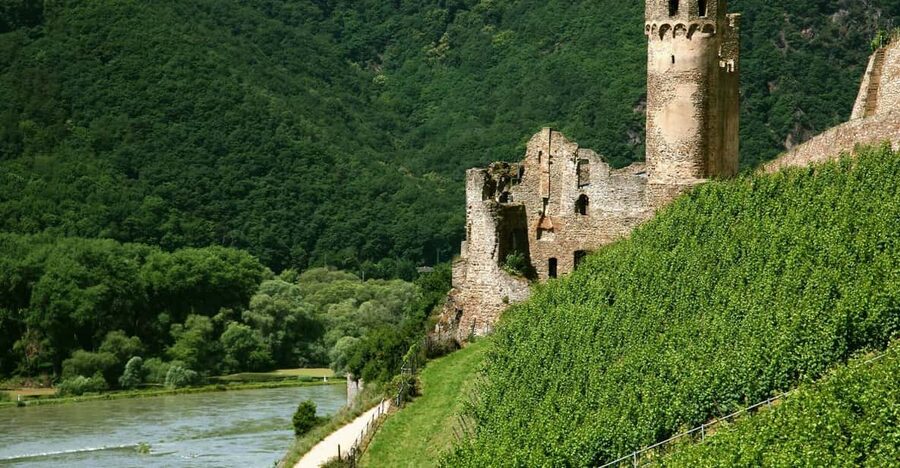 From Rüdesheim: 1.5-Hour Boat Cruise with Wine Tasting - Finding the Pier Near Drosselgasse