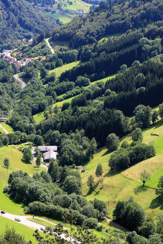 From Strasbourg: Black Forest and Baden Baden Day Trip - Key points at a glance