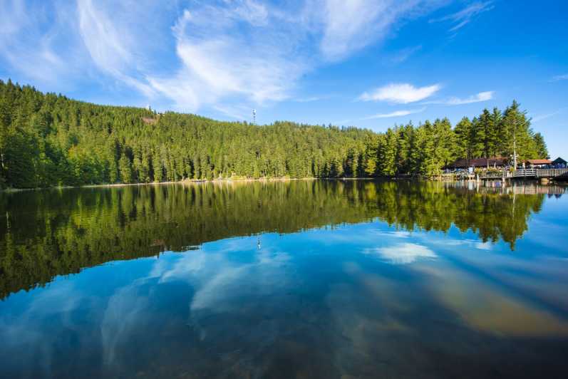 From Strasbourg: Black Forest and Baden Baden Day Trip - Baden-Baden: spa elegance in one hour