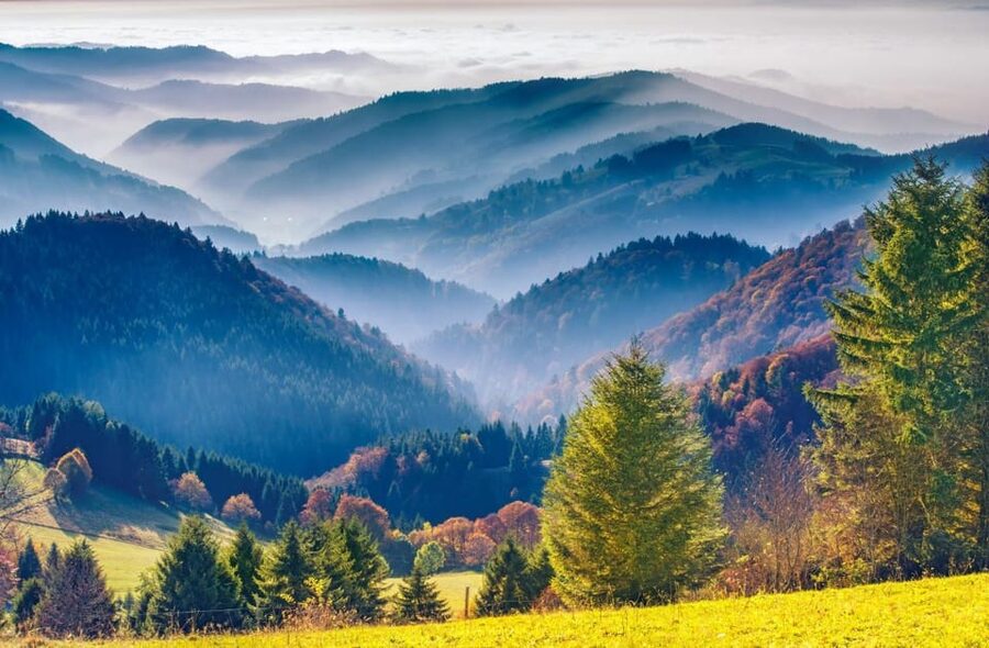 From Strasbourg: Black Forest and Baden Baden Day Trip - The Schwarzwaldhochstrasse and Rhine Valley views