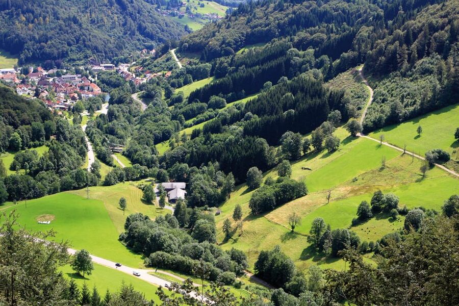 From Strasbourg: Black Forest and Baden Baden Day Trip - Mummelsee: mountain air and free time