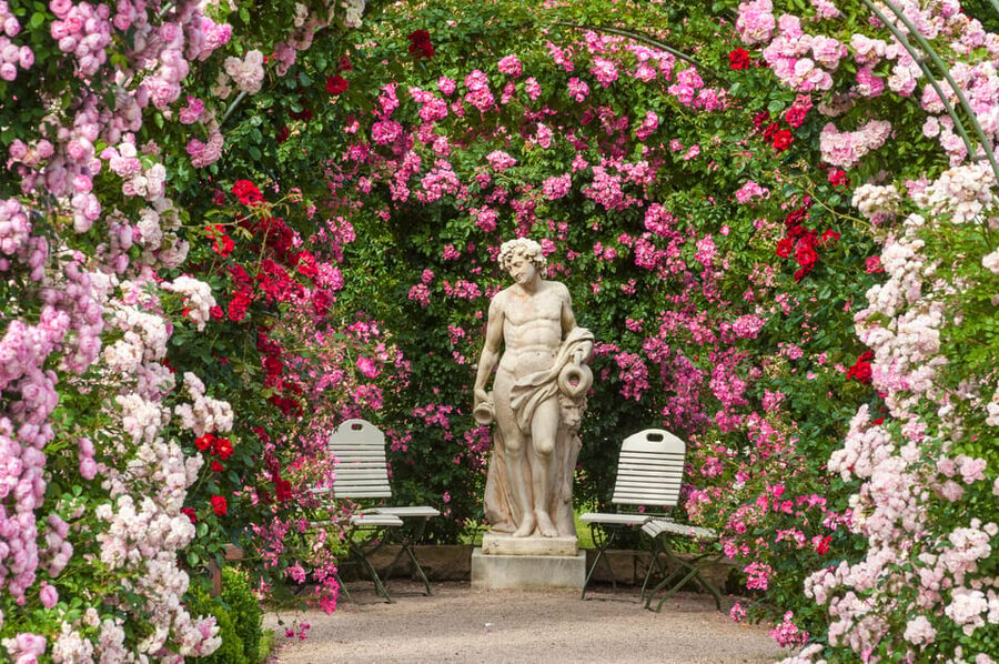 From Strasbourg: Black Forest and Baden Baden Day Trip - The minivan, guide, and pace