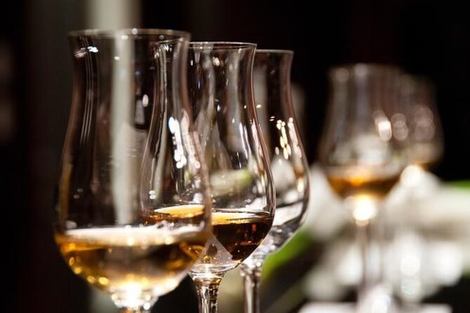 Gin & Rum Tasting in Frankfurt am Main - Is $102.24 a fair price?