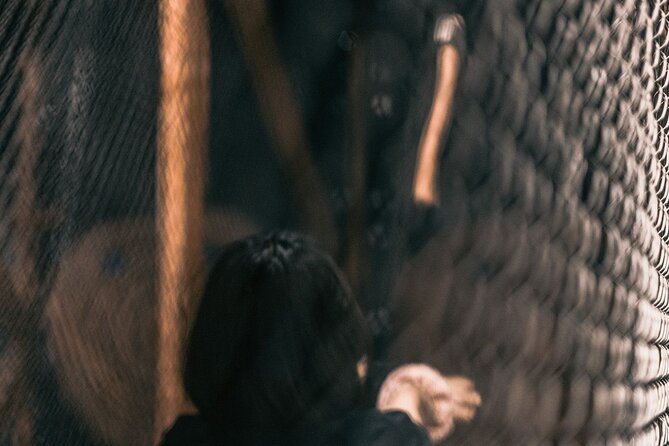 Guided Axe Throwing Experience in Frankfurt Altstadt - A private session with room for friendly competition