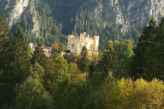 Half day tour private from Munich to Neuschwanstein Castle - Timing, delays, and the risk of a rushed visit