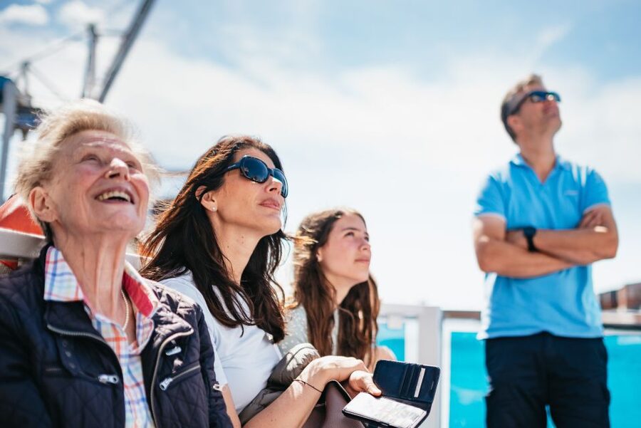 Hamburg: 1.5-Hour Harbor and Speicherstadt Day Cruise - Oevelgönne, Elbstrand, and the wider Elbe