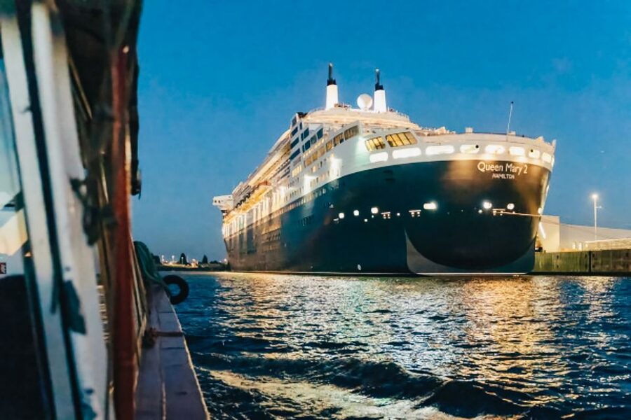 Hamburg: 1.5h Grand Harbor Evening Lights Cruise - Elbe Beach and Hamburg’s fish market
