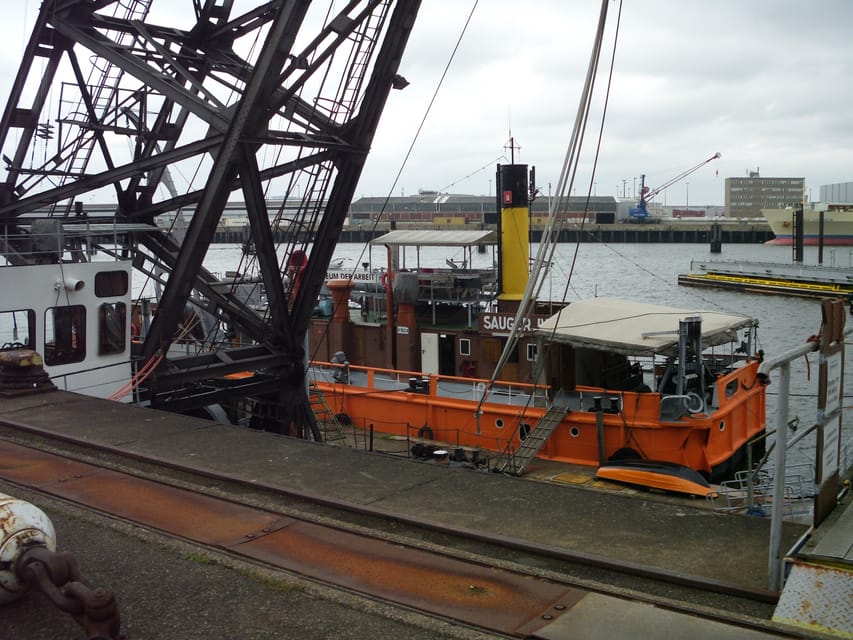 Hamburg: 1-Hour Harbor Cruise - The Elbe, landing bridges, and harbor promenade