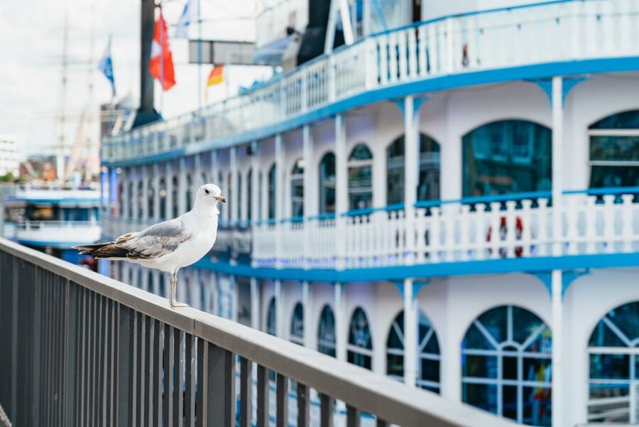 Hamburg: 1-Hour Harbor Sightseeing Cruise with HafenCity - Starting at the St. Pauli Landing Stages