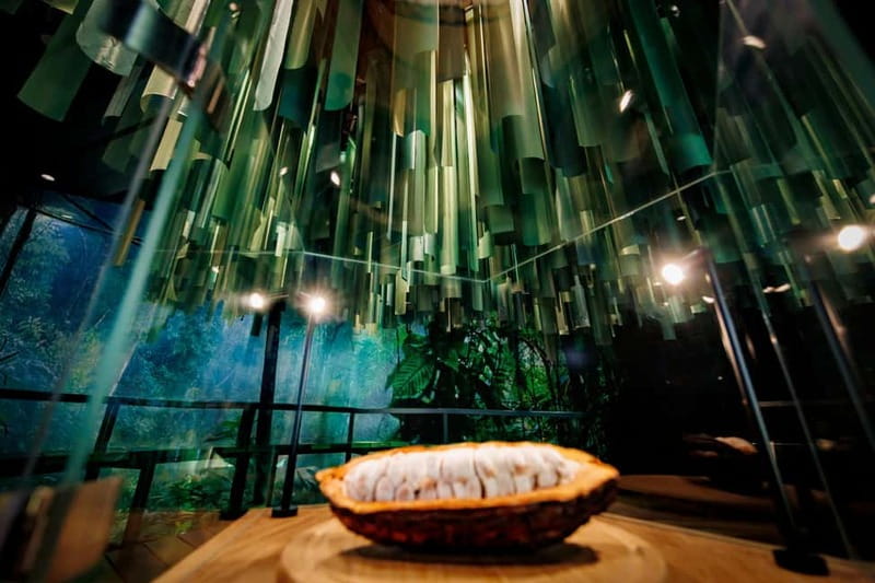 Hamburg: Chocoversum Guided Tour with Tastings - Is $37 a Fair Price?