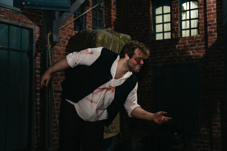 Hamburg: Hamburg Dungeon Admission Ticket - Is $33 a fair price?
