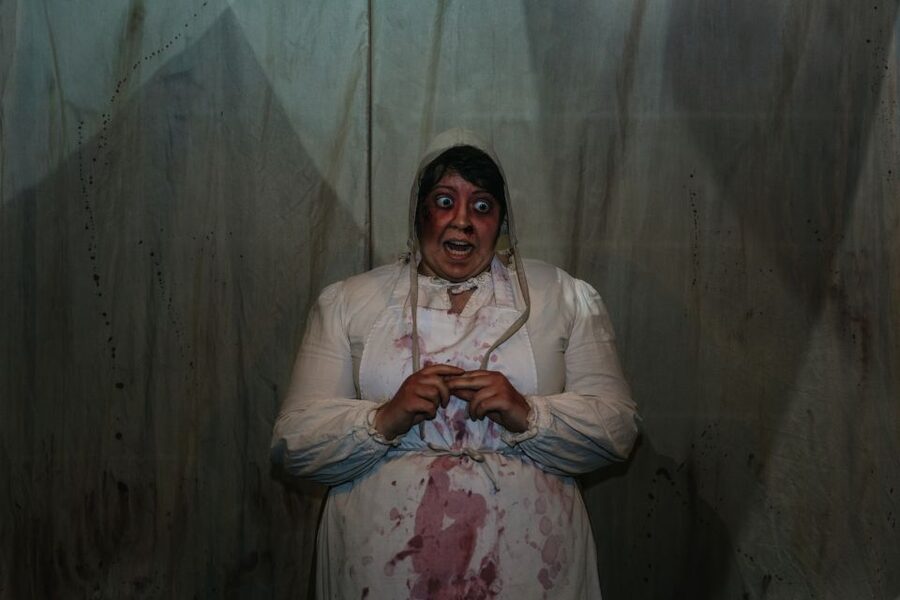Hamburg: Hamburg Dungeon Admission Ticket - Language is the detail you must check carefully