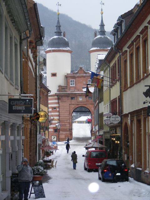 Heidelberg: 2-Hour Crime Tour with Costumed Guide - Should you book Heidelberg’s crime tour?